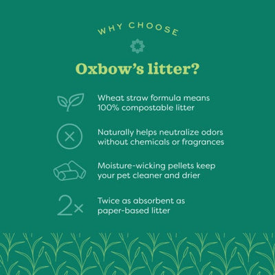 Oxbow Eco-Straw Wheat Straw Litter 20lbs