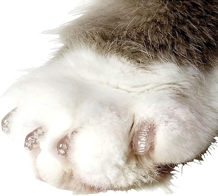 Soft Claws Nail Caps for Cats – The Angels Pet Store