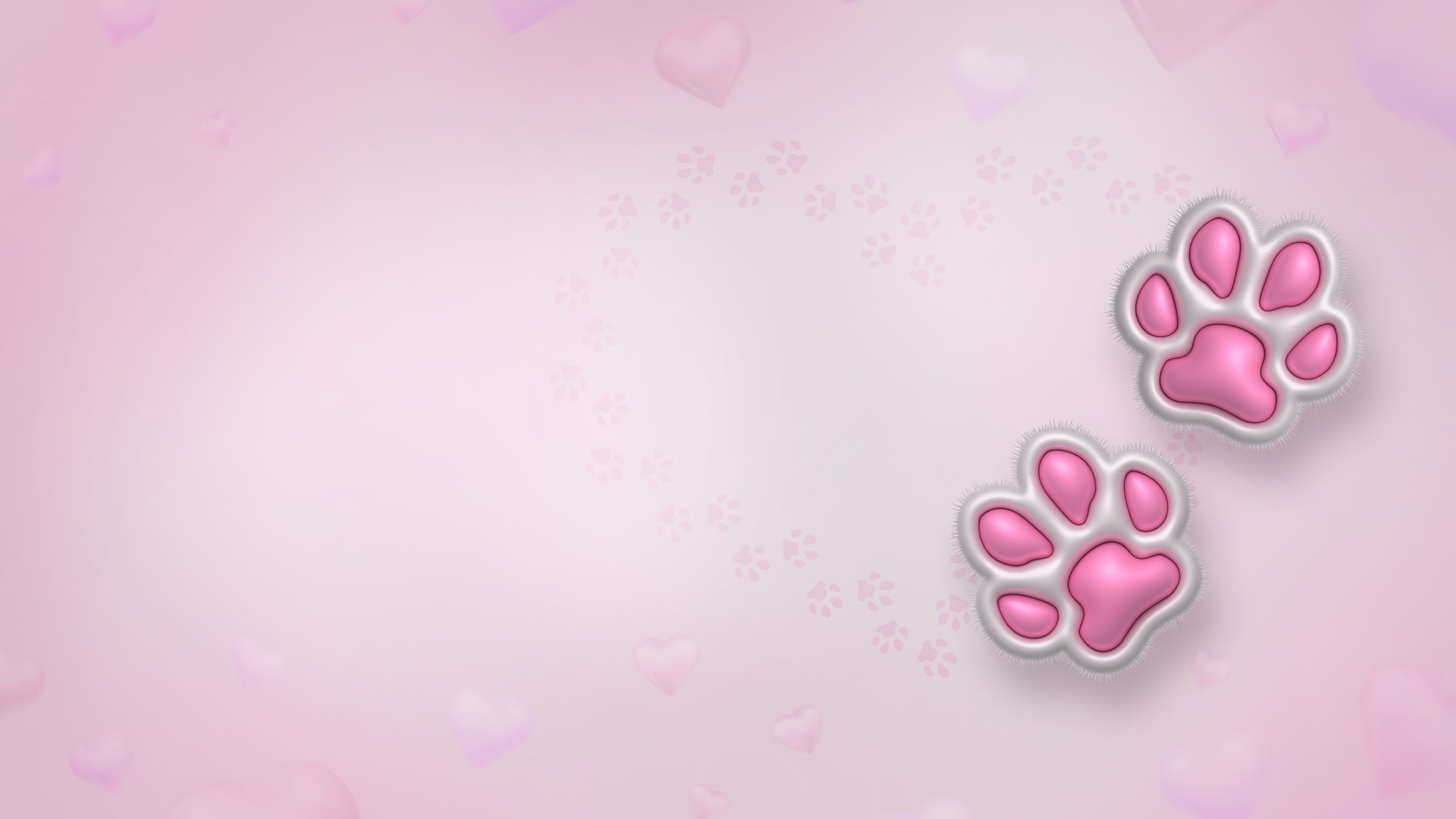 contact-the-angels-pet-store