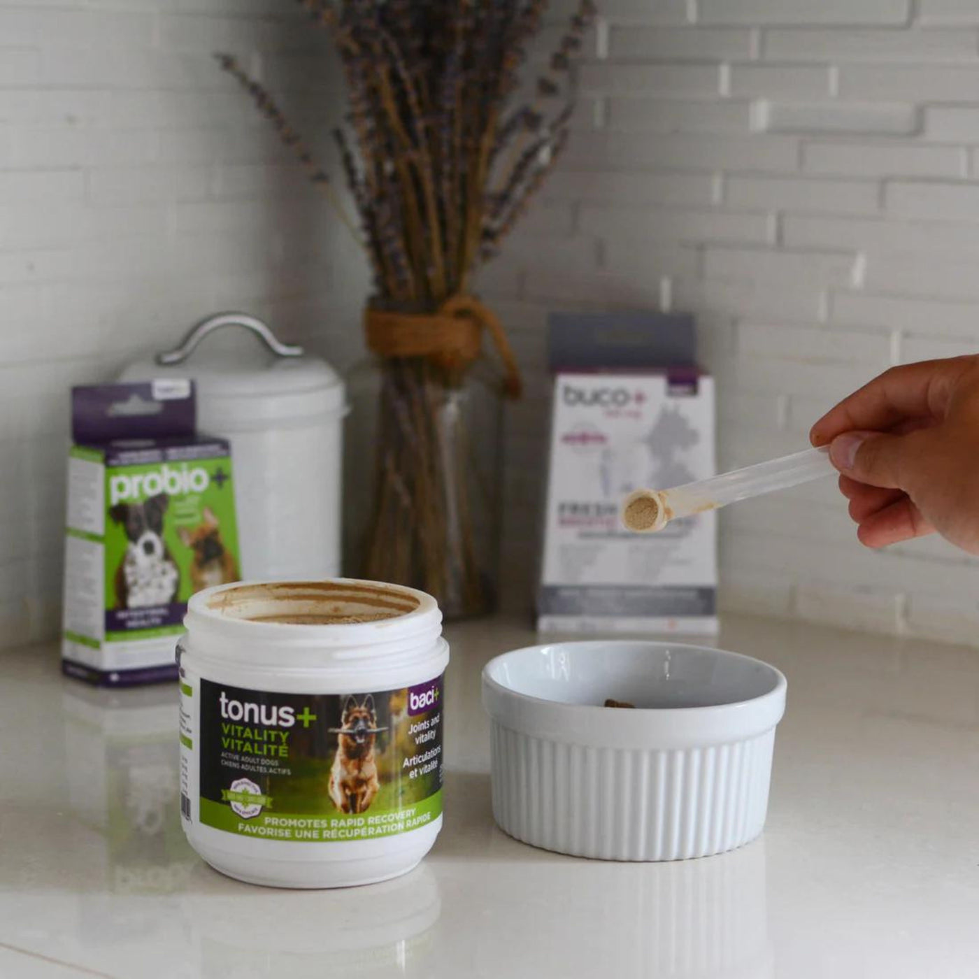 Increase joint suppleness
Improve joint comfort
Help regenerate connective tissue
Facilitate the digestive process
