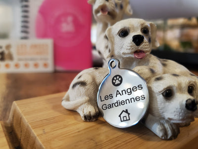 Identification tags for Dog Safety  - ID Tag