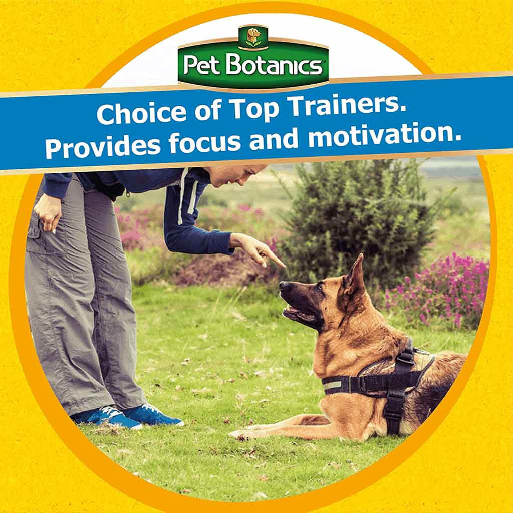 Pet Botanics - Training Rewards Dog Treats