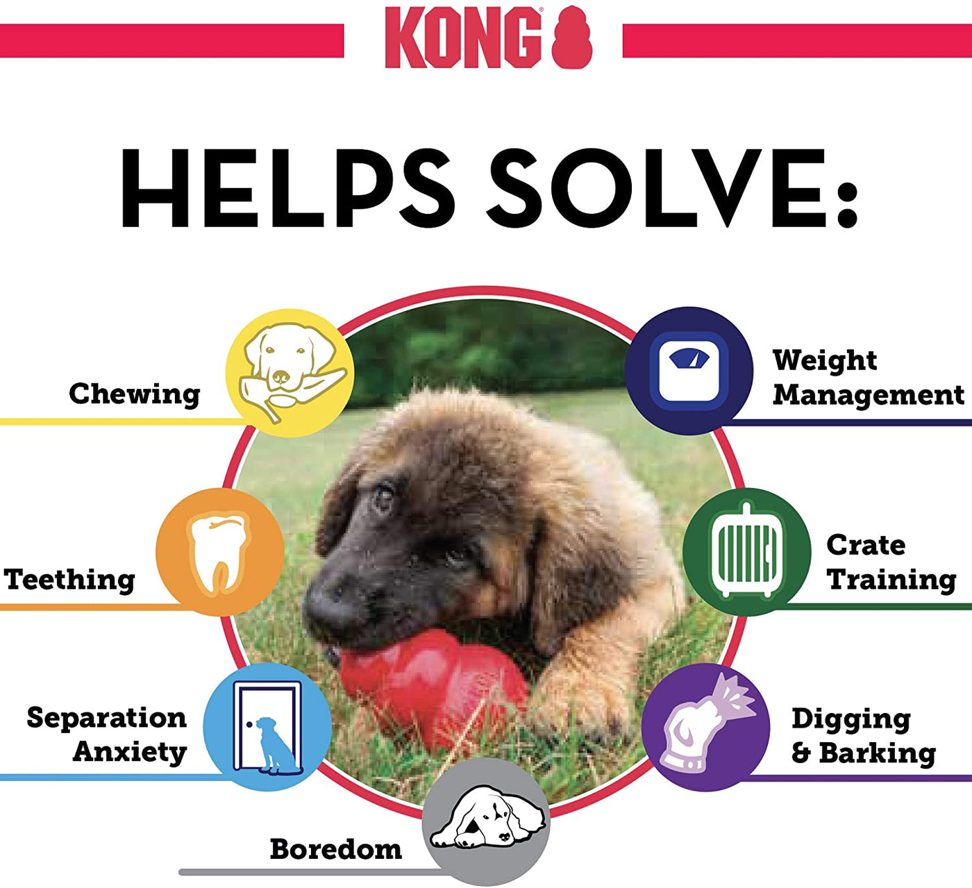 Kong Puppy Chew Toy Small Info graphic