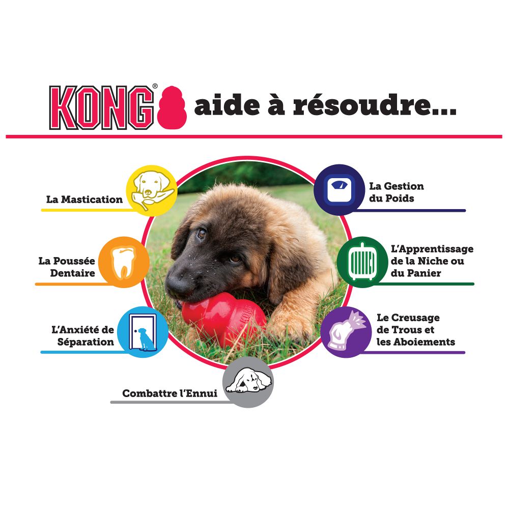 Classic Kong Red Dog Toy Info Graphic