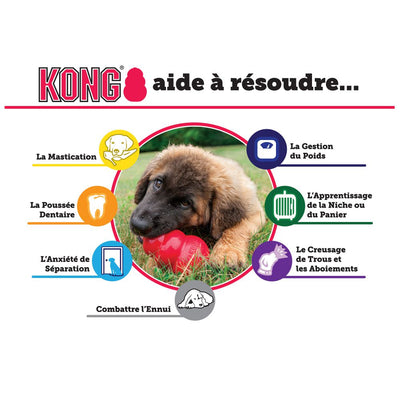 Kong Puppy Chew Toy Small Info Graphic