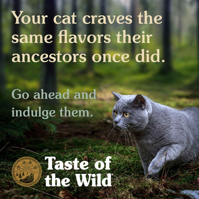 Taste of the Wild Cats - Canyon River Feline avec truite et saumon en sauce