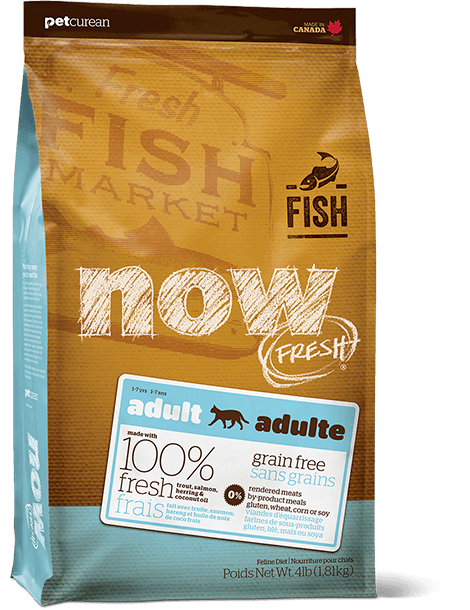 PETCUREAN Now Fresh - Truite Saumon et Hareng Sans Céréales Pour Chats