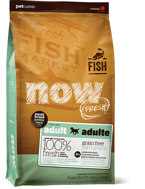 PETCUREAN Now Fresh - Adulte de petite race sans grains avec truite, saumon, hareng