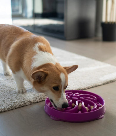 Outward Hound - Slow Feeder
