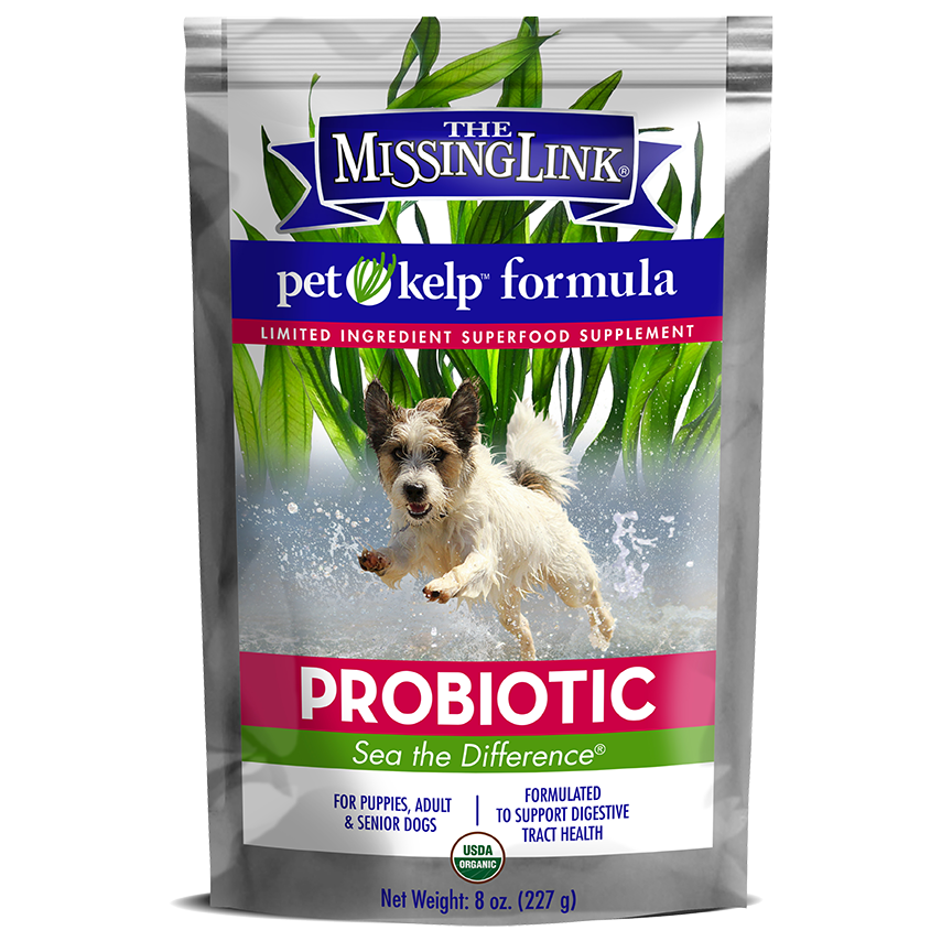 LE LIEN MANQUANT - Formule de varech Mélange probiotique Superfood Supplément d'ingrédients limités pour chiens 8 OZ