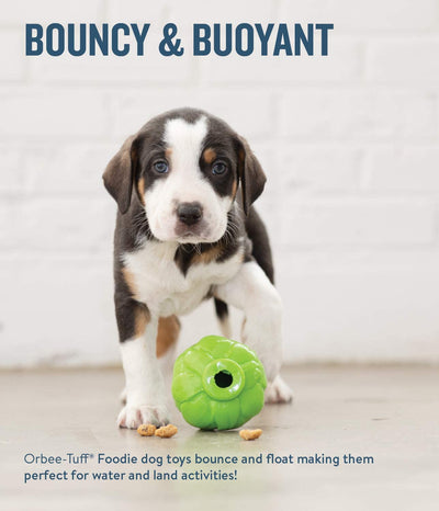 Planet Dog - Orbee tuff Artichoke Treat Dispensing Chew Toy
