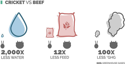 sustainable cricket vs beef environmental friendly