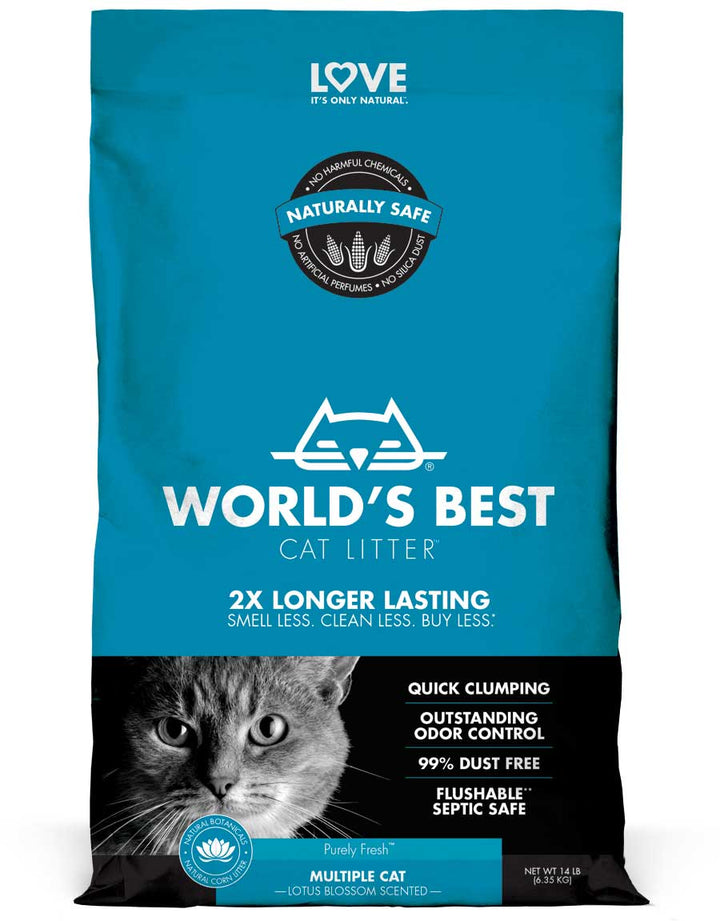 Best clay litter shop