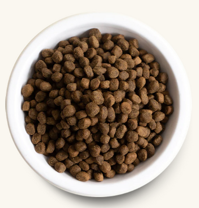 Open Farm for Dogs - Beef and Ancient Grain Dry Food