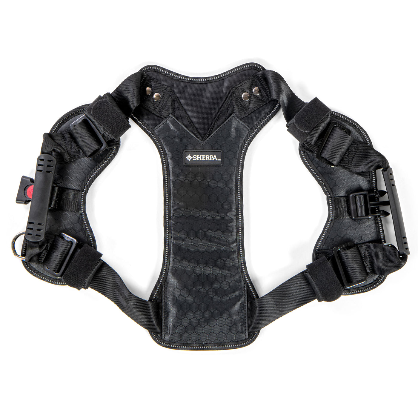 Harnais pour chien avec ceinture de sécurité Sherpa