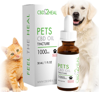 CBD Oil for Pets