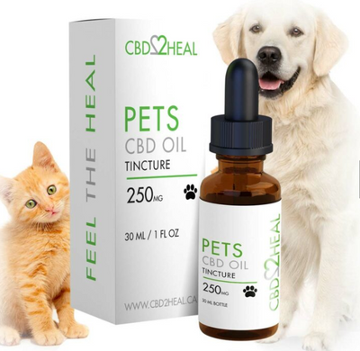 CBD Oil for Pets