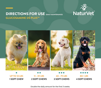 NaturVet Glucosamine DS Plus Moderate Care Level 2 Soft Chews for Dogs (60ct)