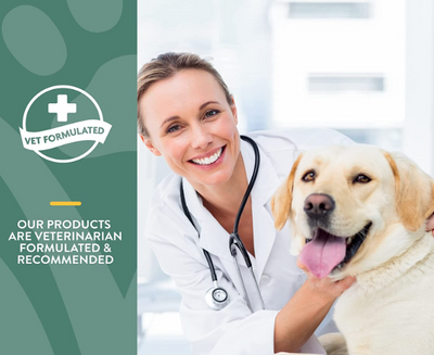 NaturVet - Glucosamine DS Plus Moderate Care Level 2 (60ct) Gommes à mâcher douces pour chiens