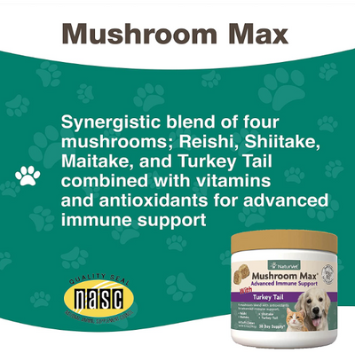 NaturVet - Mushroom Max Advanced Immune Support