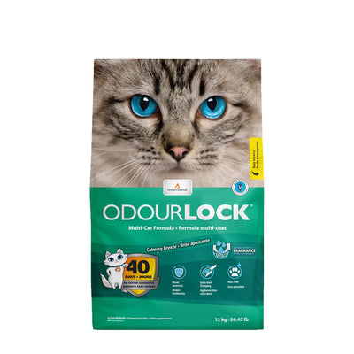 Intersand - Odor Lock Agglomérant Ultra Premium