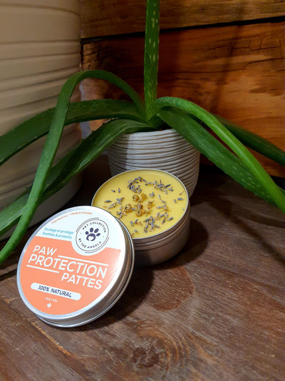 Ear , Nose and Paw Balm protection for Winter and Summer